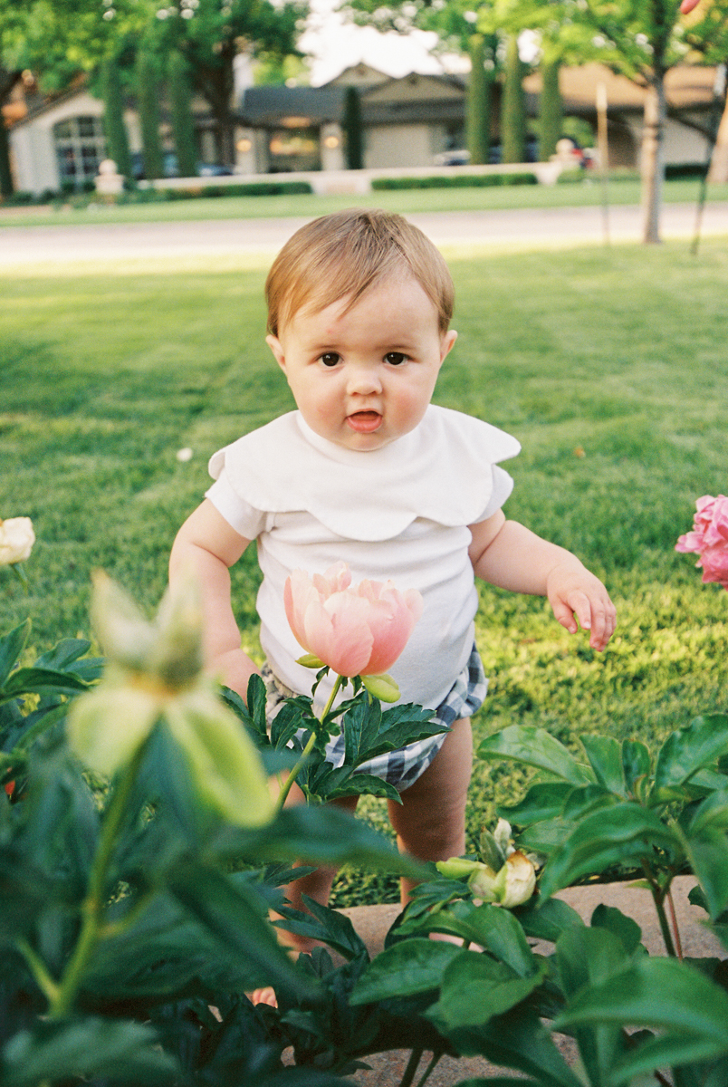 portrait of a little boy standing in front of a peony bush
